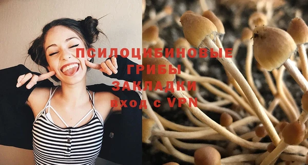 скорость Сосновка
